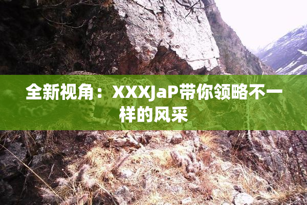 全新视角：XXXJaP带你领略不一样的风采