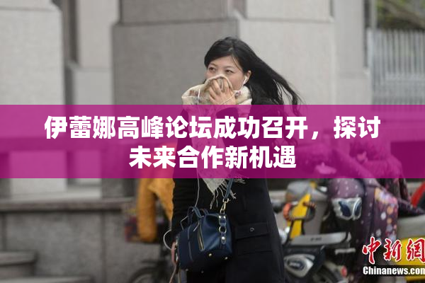 伊蕾娜高峰论坛成功召开，探讨未来合作新机遇