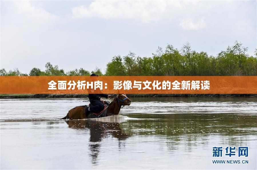 全面分析H肉：影像与文化的全新解读