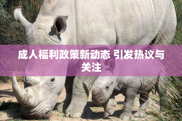 成人福利政策新动态 引发热议与关注