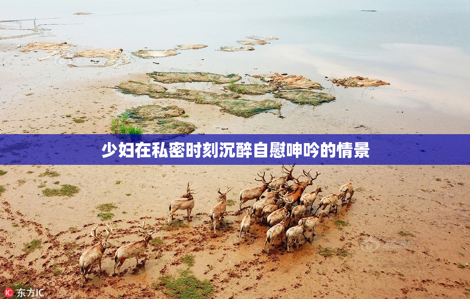 少妇在私密时刻沉醉自慰呻吟的情景