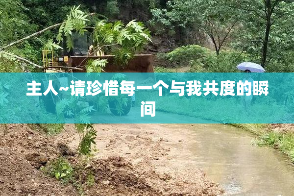 主人~请珍惜每一个与我共度的瞬间