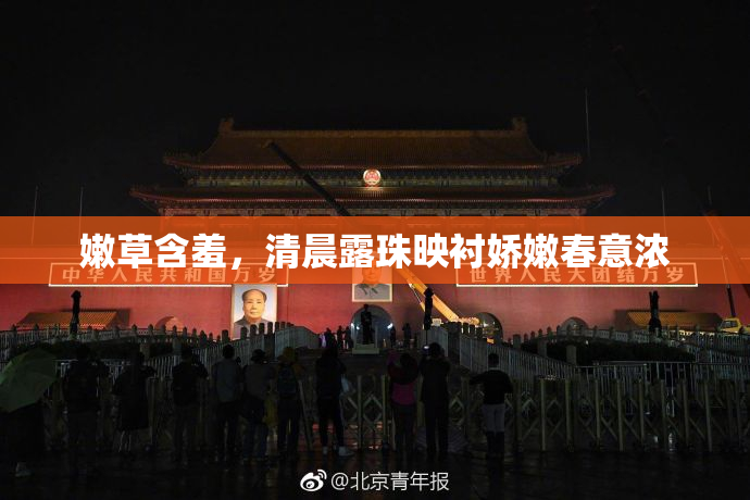 嫩草含羞，清晨露珠映衬娇嫩春意浓