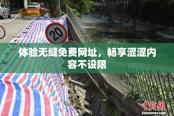 体验无缝免费网址，畅享涩涩内容不设限