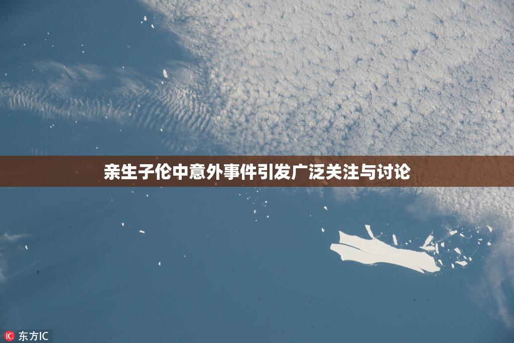 亲生子伦中意外事件引发广泛关注与讨论