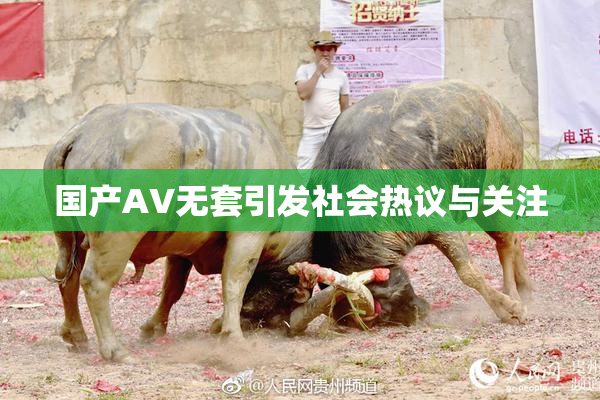 国产AV无套引发社会热议与关注
