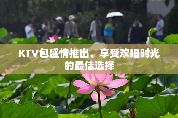 KTV包盛情推出，享受欢唱时光的最佳选择