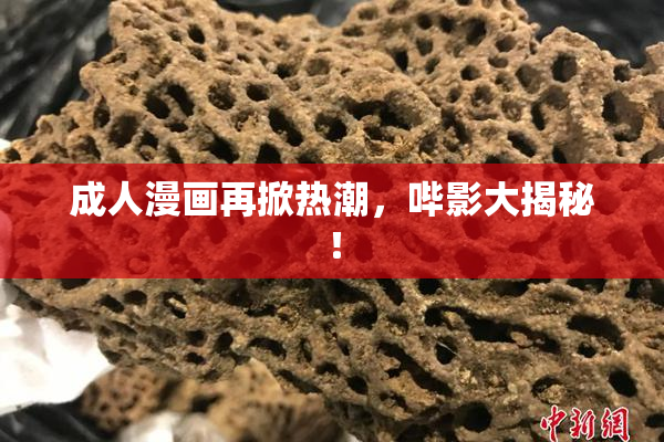 成人漫画再掀热潮，哔影大揭秘！