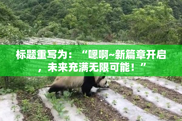 标题重写为：“嗯啊~新篇章开启，未来充满无限可能！”