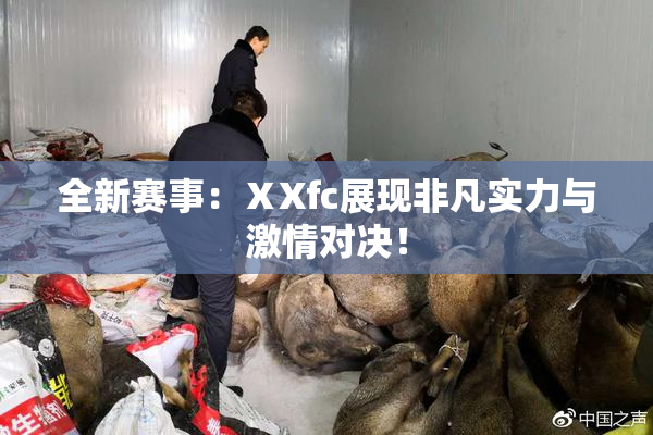 全新赛事：ⅩXfc展现非凡实力与激情对决！