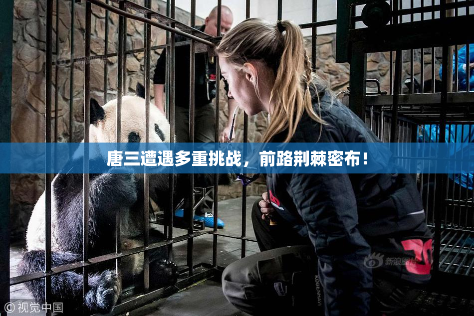 唐三遭遇多重挑战，前路荆棘密布！