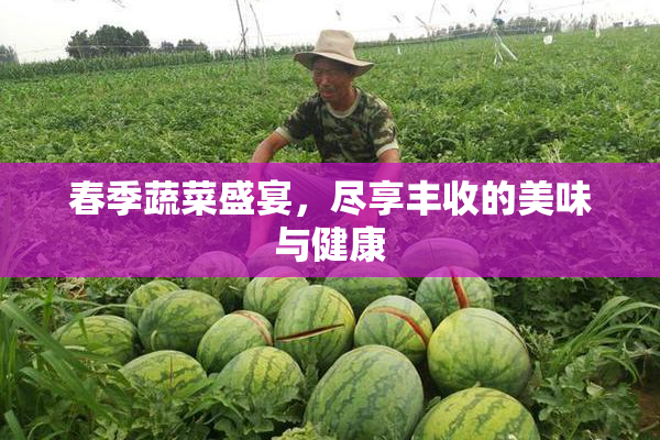 春季蔬菜盛宴，尽享丰收的美味与健康