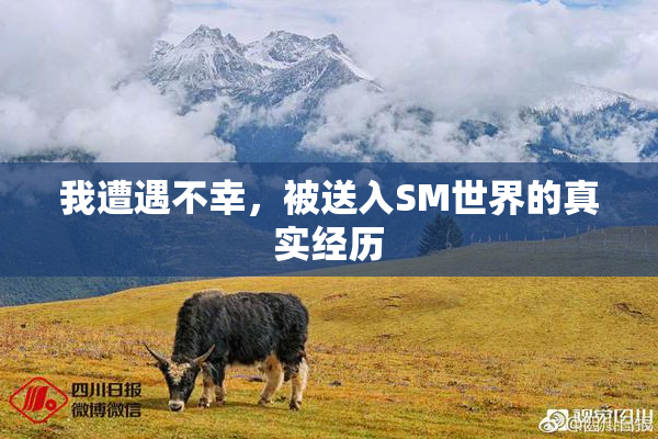 我遭遇不幸，被送入SM世界的真实经历
