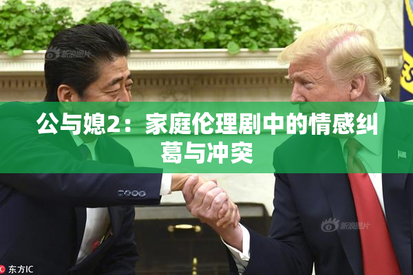 公与媳2：家庭伦理剧中的情感纠葛与冲突