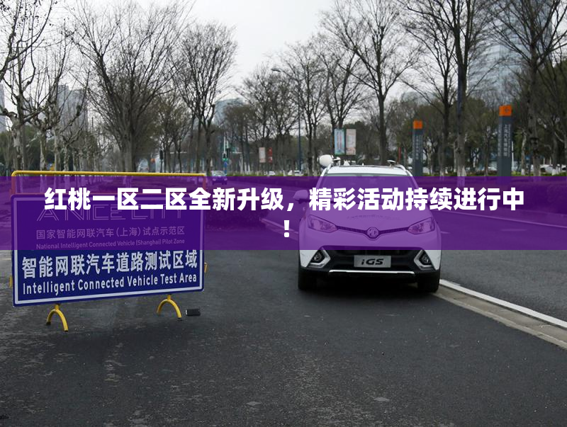 红桃一区二区全新升级，精彩活动持续进行中！