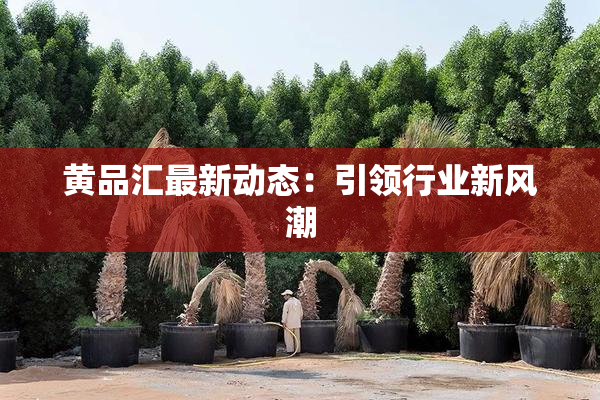 黄品汇最新动态：引领行业新风潮