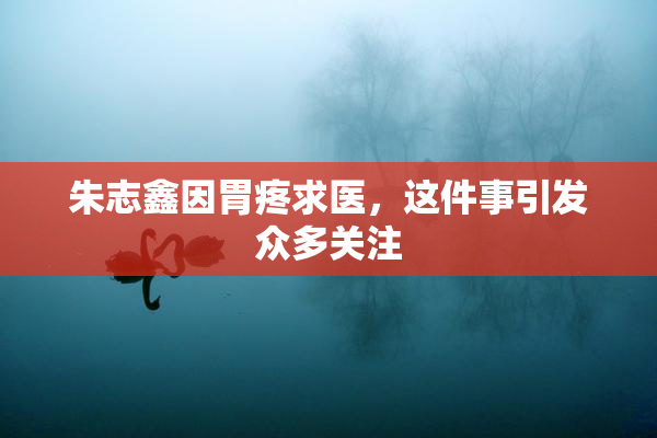 朱志鑫因胃疼求医，这件事引发众多关注