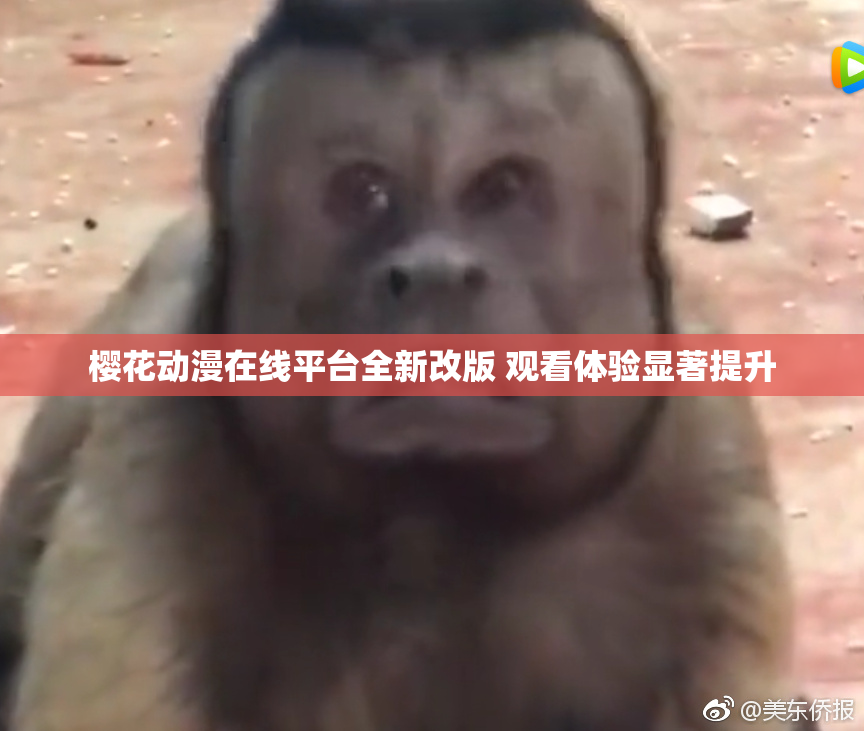 樱花动漫在线平台全新改版 观看体验显著提升
