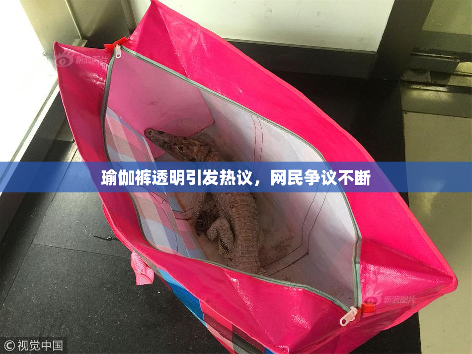瑜伽裤透明引发热议，网民争议不断