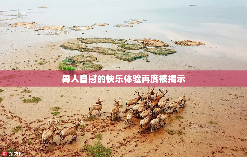 男人自慰的快乐体验再度被揭示