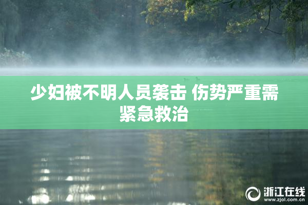 少妇被不明人员袭击 伤势严重需紧急救治