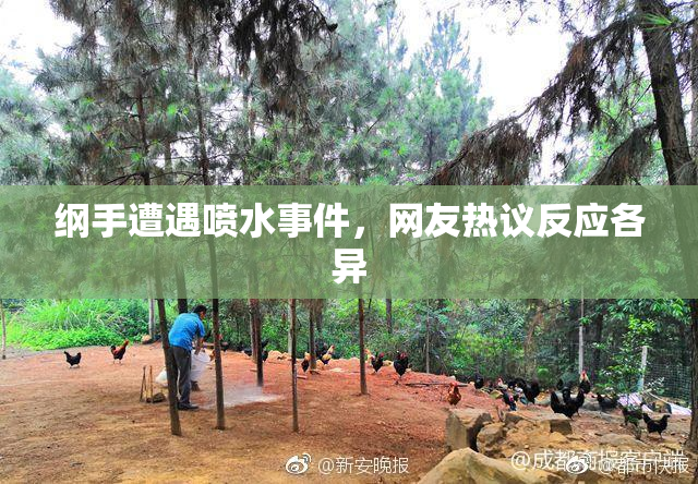 纲手遭遇喷水事件，网友热议反应各异