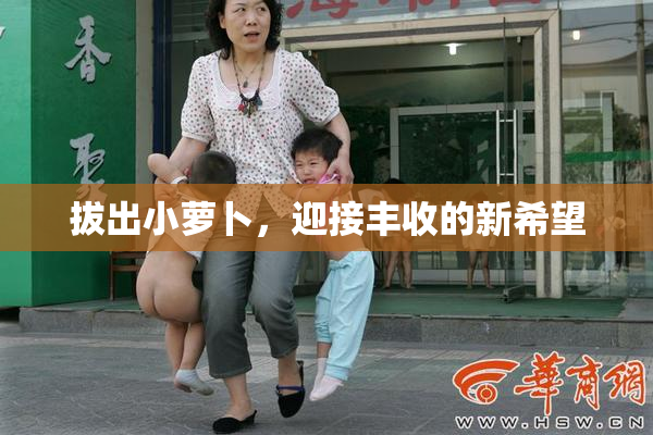 拔出小萝卜，迎接丰收的新希望