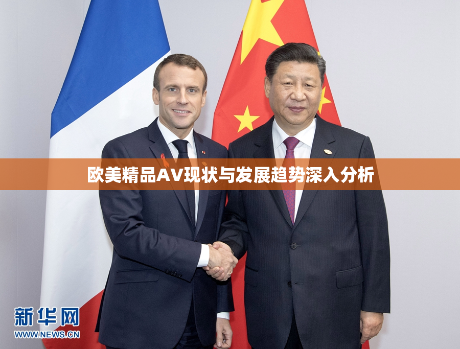 欧美精品AV现状与发展趋势深入分析