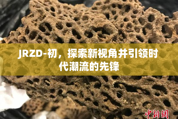 JRZD-初，探索新视角并引领时代潮流的先锋