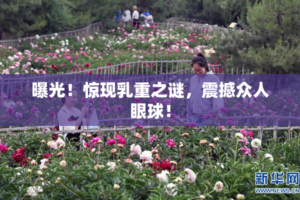 曝光！惊现乳重之谜，震撼众人眼球！