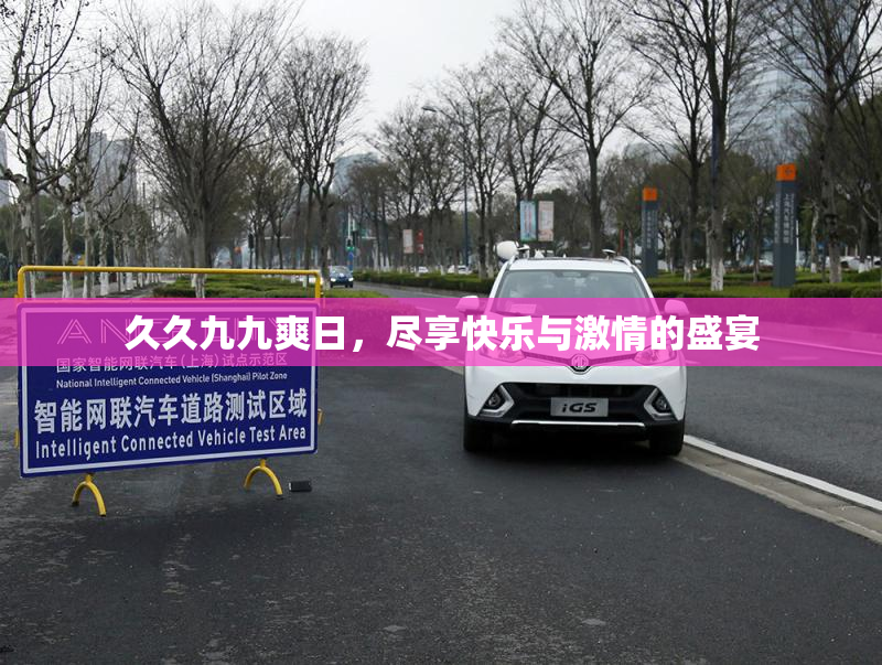 久久九九爽日，尽享快乐与激情的盛宴