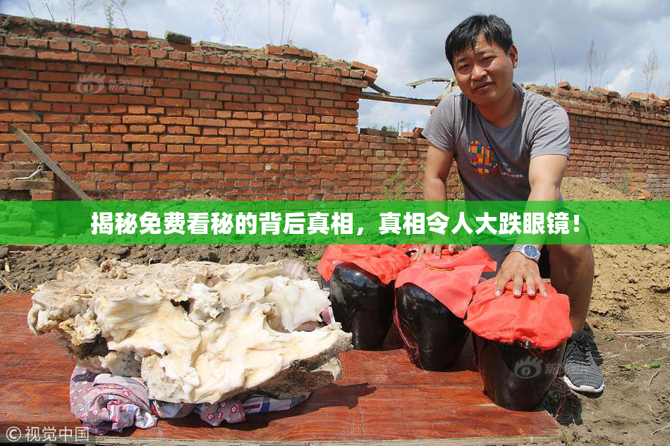 揭秘免费看秘的背后真相，真相令人大跌眼镜！