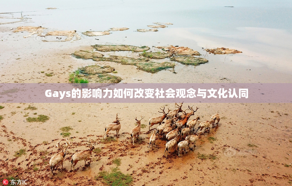 Gays的影响力如何改变社会观念与文化认同