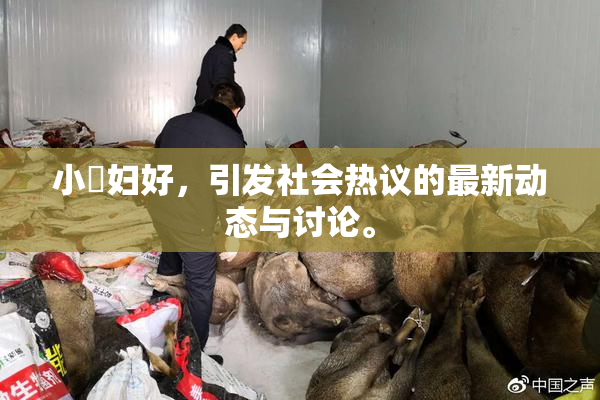 小婬妇好，引发社会热议的最新动态与讨论。