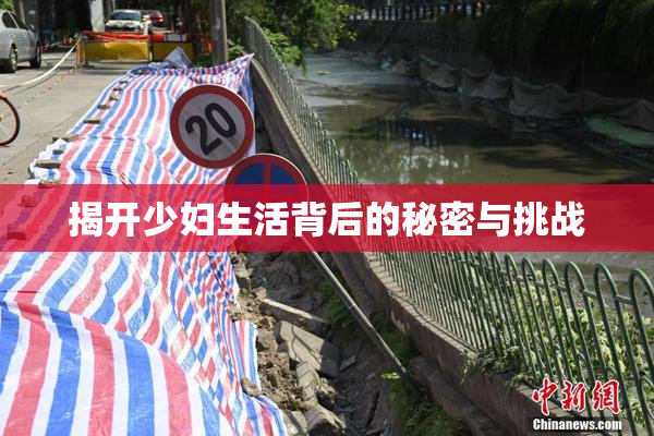 揭开少妇生活背后的秘密与挑战