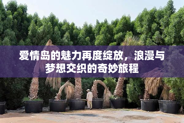 爱情岛的魅力再度绽放，浪漫与梦想交织的奇妙旅程