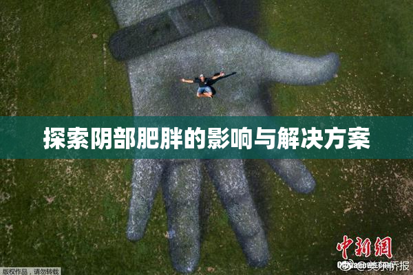 探索阴部肥胖的影响与解决方案