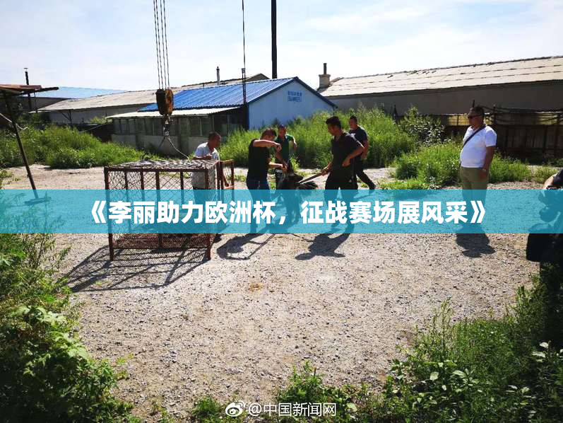 《李丽助力欧洲杯，征战赛场展风采》