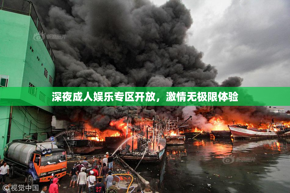 深夜成人娱乐专区开放，激情无极限体验
