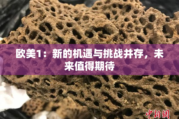 欧美1：新的机遇与挑战并存，未来值得期待