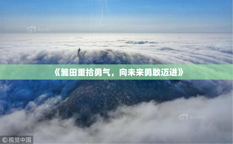 《雏田重拾勇气，向未来勇敢迈进》