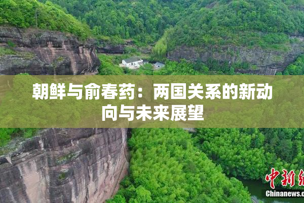 朝鲜与俞春药：两国关系的新动向与未来展望