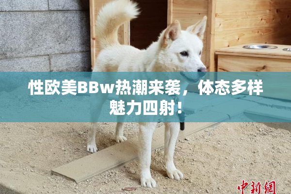 性欧美BBw热潮来袭，体态多样魅力四射！