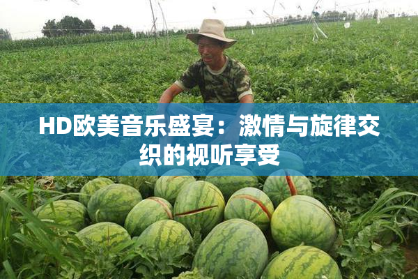 HD欧美音乐盛宴：激情与旋律交织的视听享受