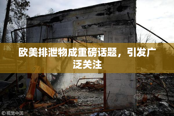 欧美排泄物成重磅话题，引发广泛关注