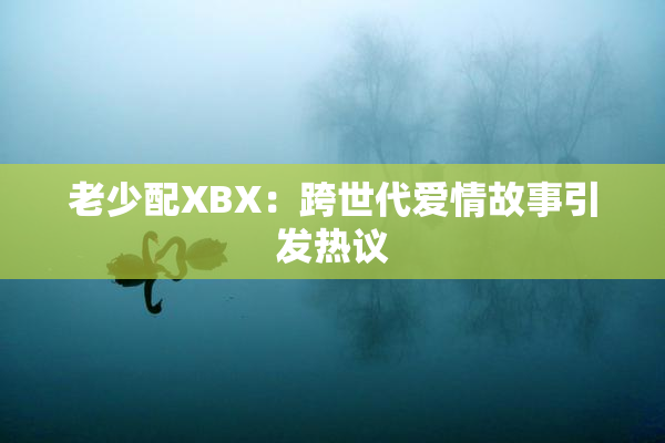 老少配XBX：跨世代爱情故事引发热议