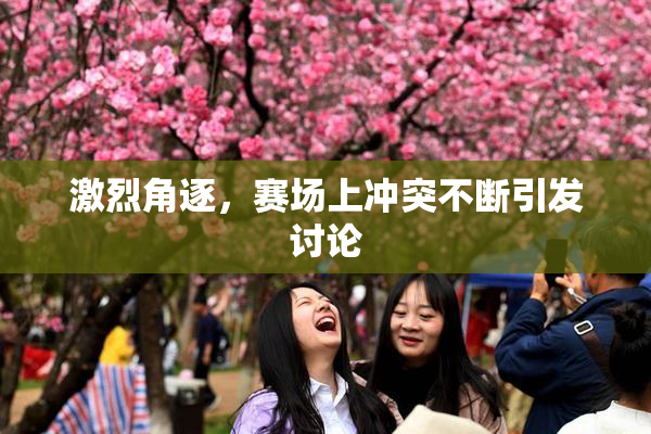 激烈角逐，赛场上冲突不断引发讨论