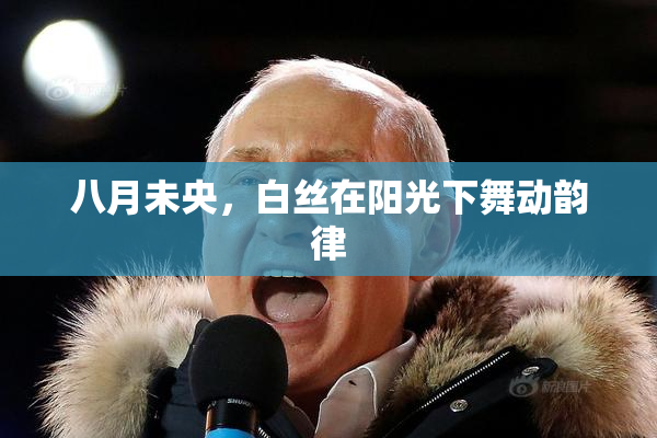 八月未央，白丝在阳光下舞动韵律