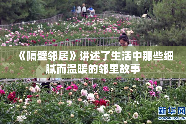 《隔壁邻居》讲述了生活中那些细腻而温暖的邻里故事