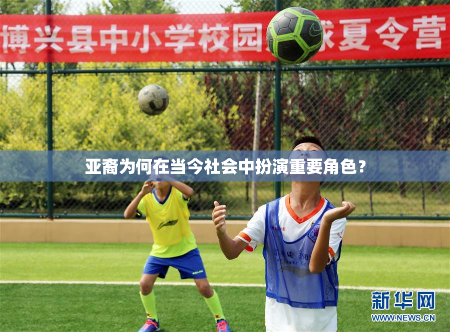 亚裔为何在当今社会中扮演重要角色？